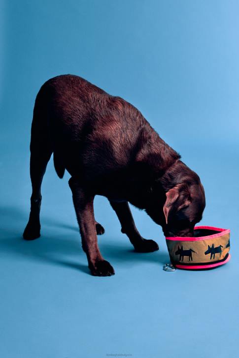 Bimba Y Lola купа за вода за домашни любимци с лого каки аксесоари 28R6R969